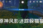 原神躲猫猫攻略（在原神世界中尽情追逐，轻松躲藏，解锁惊喜。）