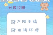 第七医院游戏规则攻略（欢迎来到第七医院，准备好接受恐怖的考验了吗？）