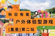 市集最强攻略游戏（玩转市集，赚得盆满钵满！）