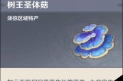 一篇教你轻松掌握树王圣体菇收集全攻略的文章（一篇教你轻松掌握树王圣体菇收集全攻略的文章）
