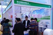 妙金最强出装顺序攻略（征战王者峡谷，妙金出装秘籍揭密，助你成为最强剑豪！）